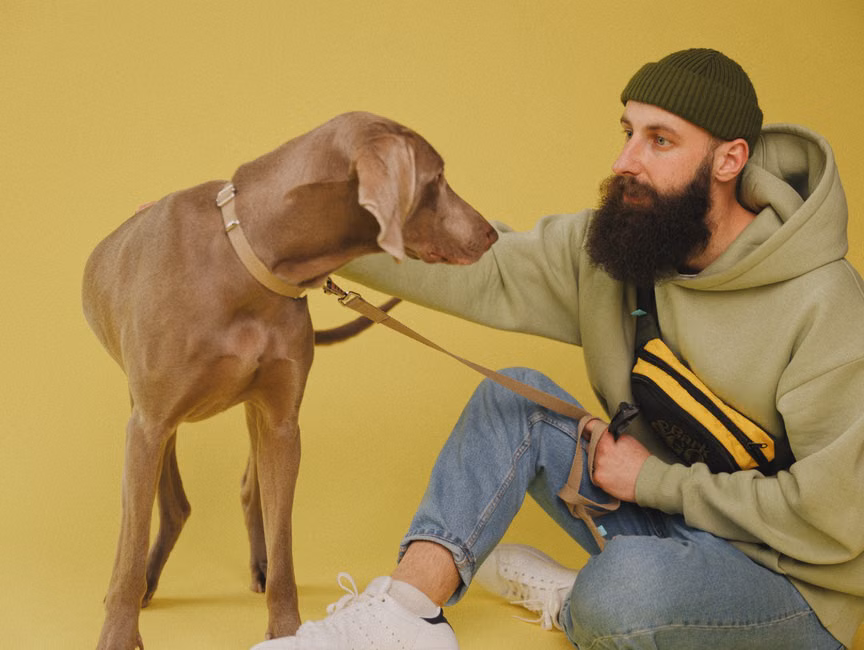 Ração Premium para Cães (15kg)